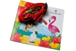 Victorinox My First Victorinox, édition Perroquet 0.2373.E3 Couteau D'enfant -Lames Aventure VT0 2373 E3 06 victorinox
